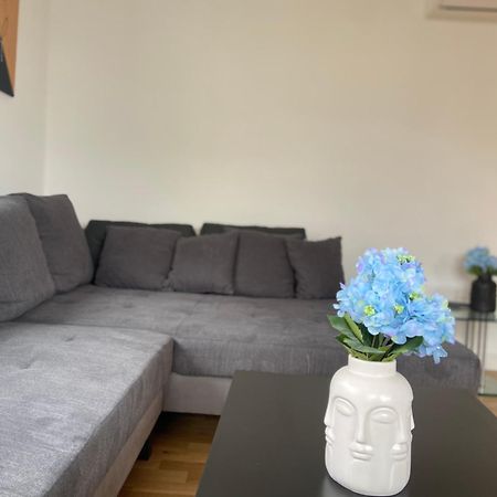 Luxury Apartment With Air Conditioning & Jaccuzzi Near Frankfurt Wiesbaden Хофхайм-ам-Таунус Экстерьер фото